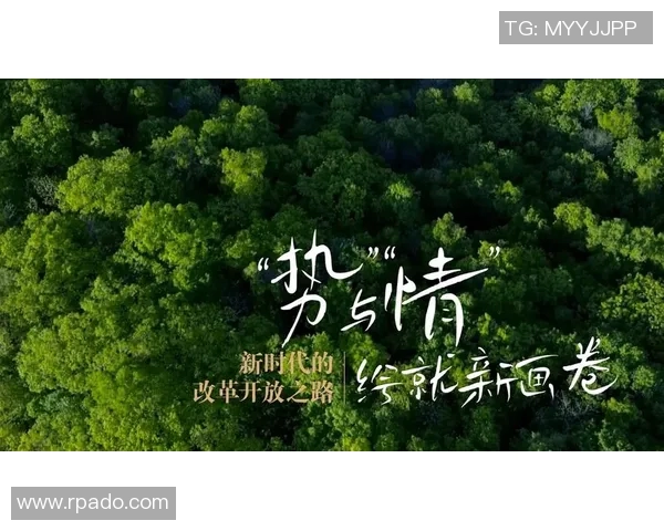 崔永熙：探索新时代的艺术之路与文化传承的深远影响