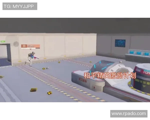 和平精英战术解析FPX区域防守体系的构建与应用探讨