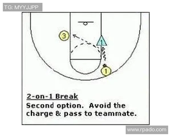 深入分析北京排球队快攻战术的特点与应用策略