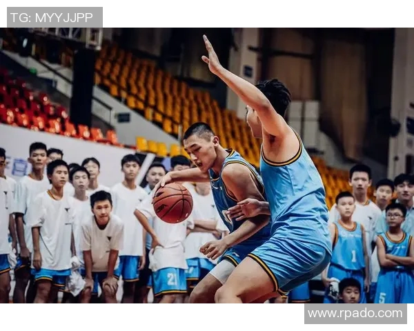 聚焦篮球精神：探索杭州篮球队的团队意识与文化建设