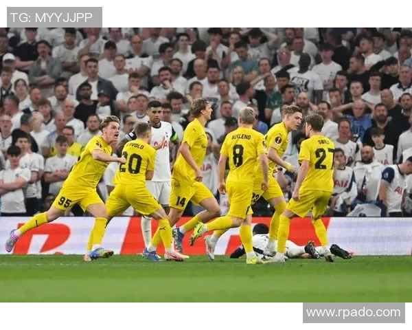 罗森博格与桑德菲的精彩对决分析及赛前预测展望