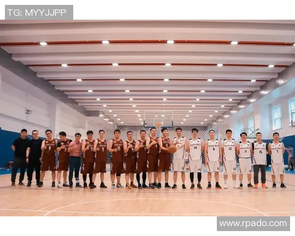 陈伟篮球生涯回顾与展望：从球场到人生的精彩对话MBA