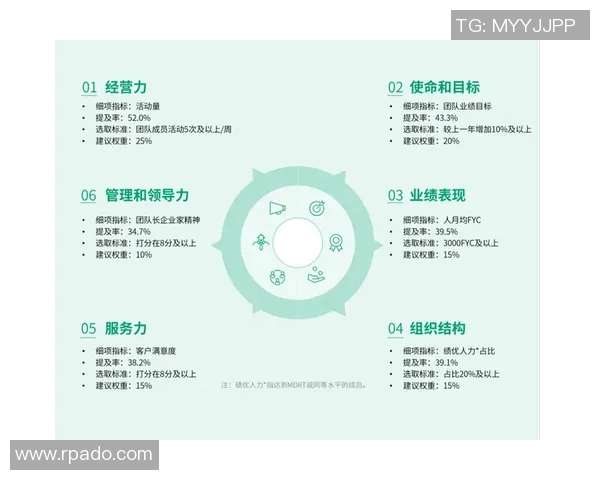 数据分析揭示IG个人能力表现的深度洞察与发展潜力