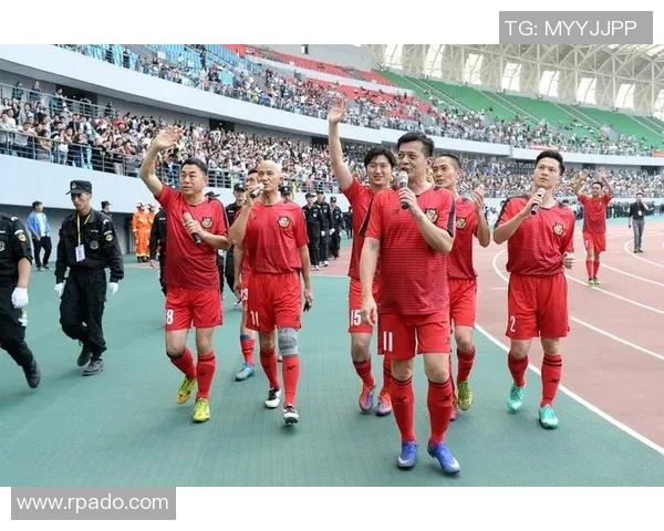 南京足球队实力分析与表现评估：数据透视与趋势解读