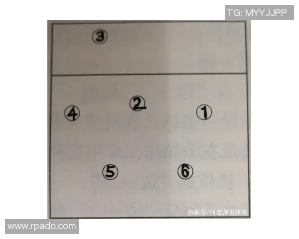 深入分析北京排球队中路突破战术的优势与应用